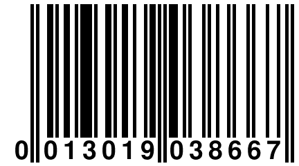 0 013019 038667