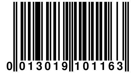 0 013019 101163