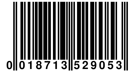 0 018713 529053