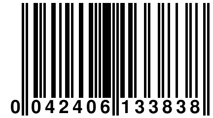 0 042406 133838