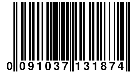 0 091037 131874