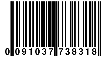 0 091037 738318