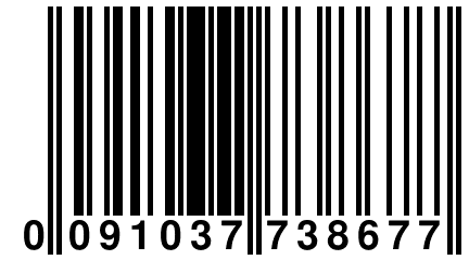 0 091037 738677