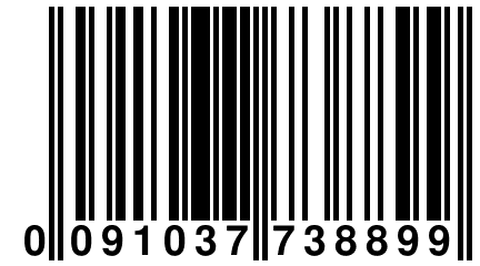 0 091037 738899