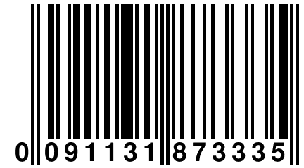 0 091131 873335