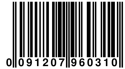 0 091207 960310