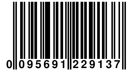 0 095691 229137