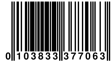 0 103833 377063