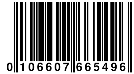 0 106607 665496