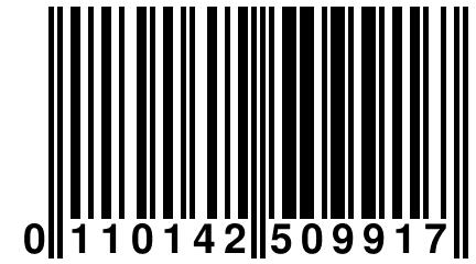 0 110142 509917