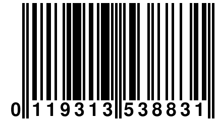 0 119313 538831