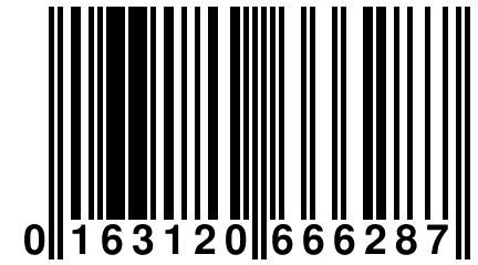 0 163120 666287