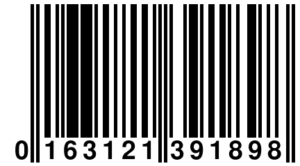 0 163121 391898