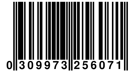 0 309973 256071