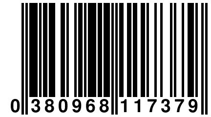 0 380968 117379