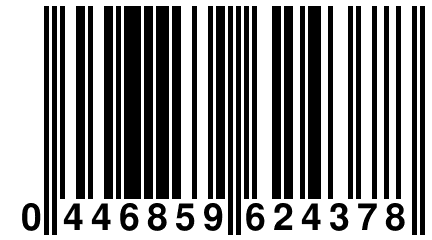 0 446859 624378