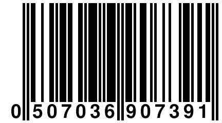 0 507036 907391