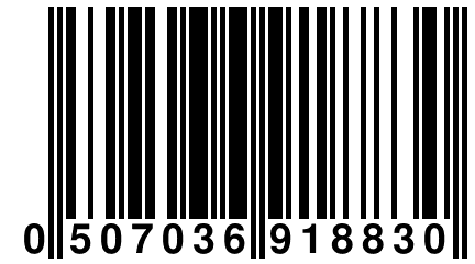 0 507036 918830