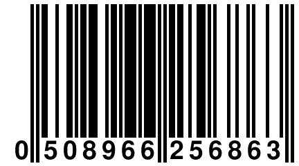 0 508966 256863