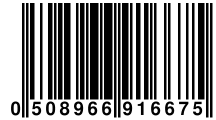 0 508966 916675