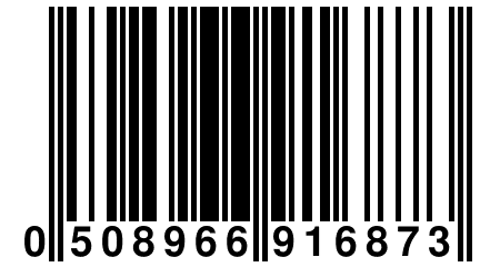 0 508966 916873