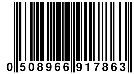 0 508966 917863