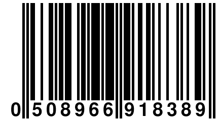 0 508966 918389