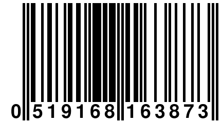 0 519168 163873