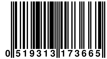 0 519313 173665