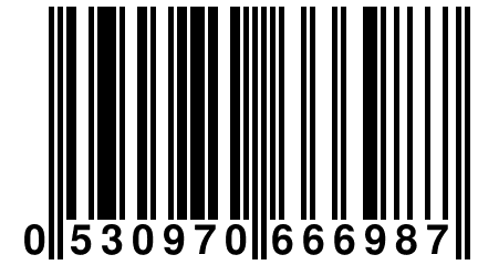 0 530970 666987