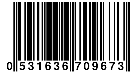 0 531636 709673