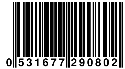 0 531677 290802