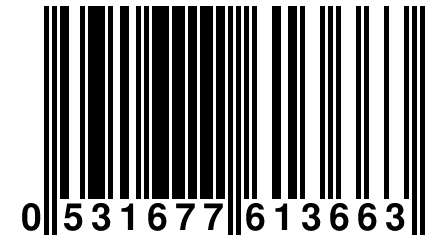 0 531677 613663