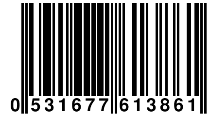 0 531677 613861