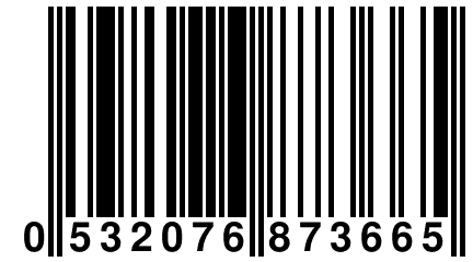 0 532076 873665