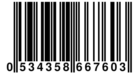 0 534358 667603