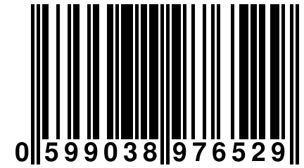 0 599038 976529