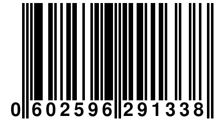 0 602596 291338