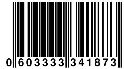 0 603333 341873