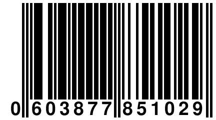 0 603877 851029