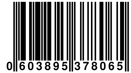 0 603895 378065