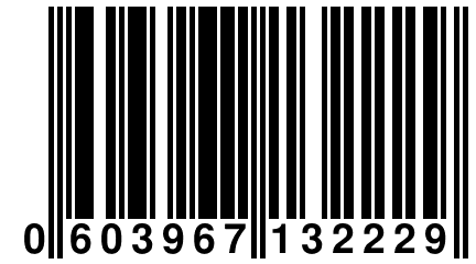 0 603967 132229