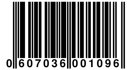 0 607036 001096