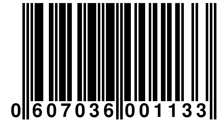 0 607036 001133