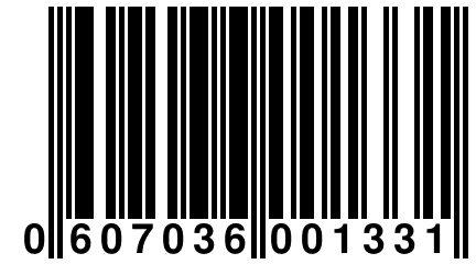 0 607036 001331