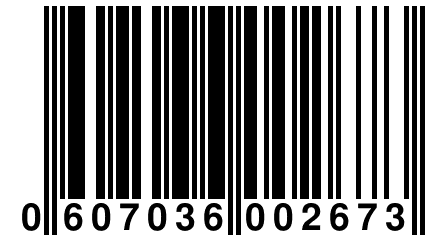 0 607036 002673