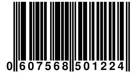 0 607568 501224