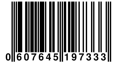 0 607645 197333