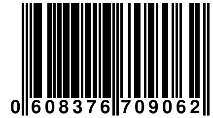 0 608376 709062