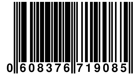 0 608376 719085